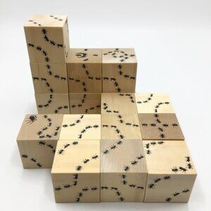 ANTICS Wooden Ant Tracks Army Blocks Full Set 16 Uncle Goose Toys Discontinued